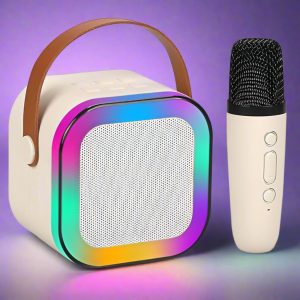 Portable Blue-Tooth Karaoke Speaker with Wireless Microphone
